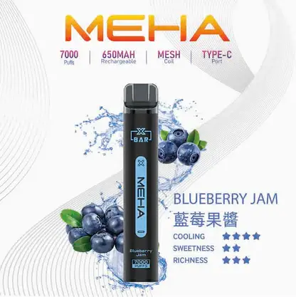 MEHA 魅嗨小黑條 7000口電子煙主機 ｜ 戶外野餐休憩隨手滿足 ｜ 恆定輸出確保始終如一的溫潤喉韻