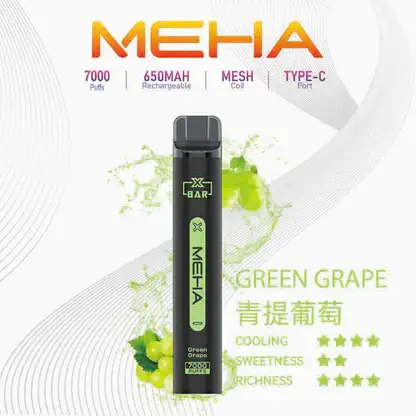 MEHA 魅嗨小黑條 7000口電子煙主機 ｜ 戶外野餐休憩隨手滿足 ｜ 恆定輸出確保始終如一的溫潤喉韻