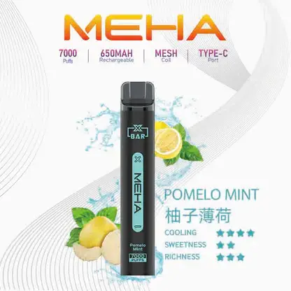 MEHA 魅嗨小黑條 7000口電子煙主機 ｜ 戶外野餐休憩隨手滿足 ｜ 恆定輸出確保始終如一的溫潤喉韻