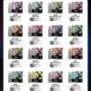 e560b25fee59466fe050caac58966f0e.webp SP2S 思博瑞 MAX 專用煙彈 | 潮流社交風格展現 | 高效能霧化隨時隨地開啟質感生活體驗【滿5盒贈MAX主機】超值特惠