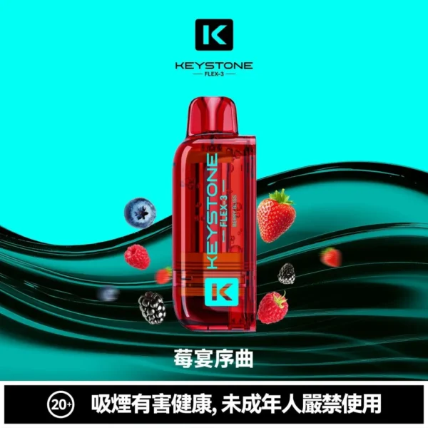 KEYSTONE FLEX-3 鑰石 25000口磁吸換彈拋棄式電子煙套裝｜日常外出隨身攜帶｜三段功率調節搭配Mesh網芯展現穩定霧感與滿足口感層次【買一盒煙彈送主機】