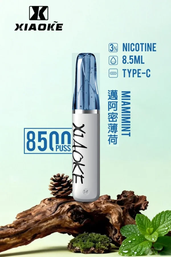 XIAOKE 梟客 8500口拋棄式電子煙｜日常通勤隨身攜帶｜穩定輸出保持綿密霧感展現持久且均衡的口感層次觸感